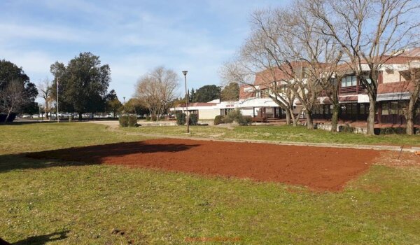 U Osnovnoj školi Poreč uskoro vrt, masline i voćke
