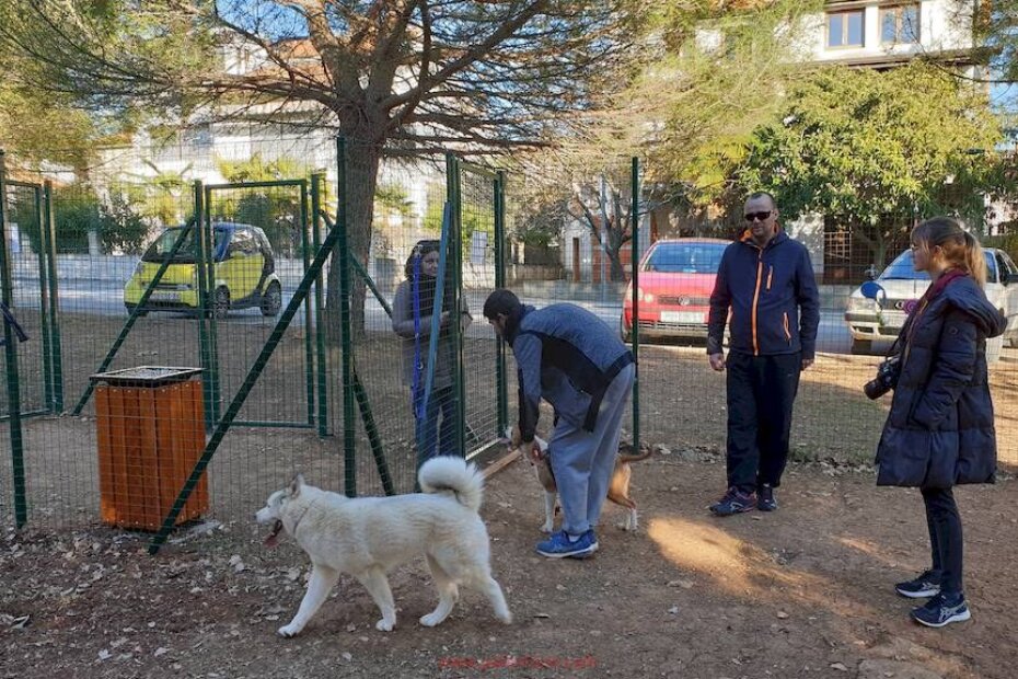 Korisnici zadovoljni, kažu da bi takvih parkova trebalo biti i više