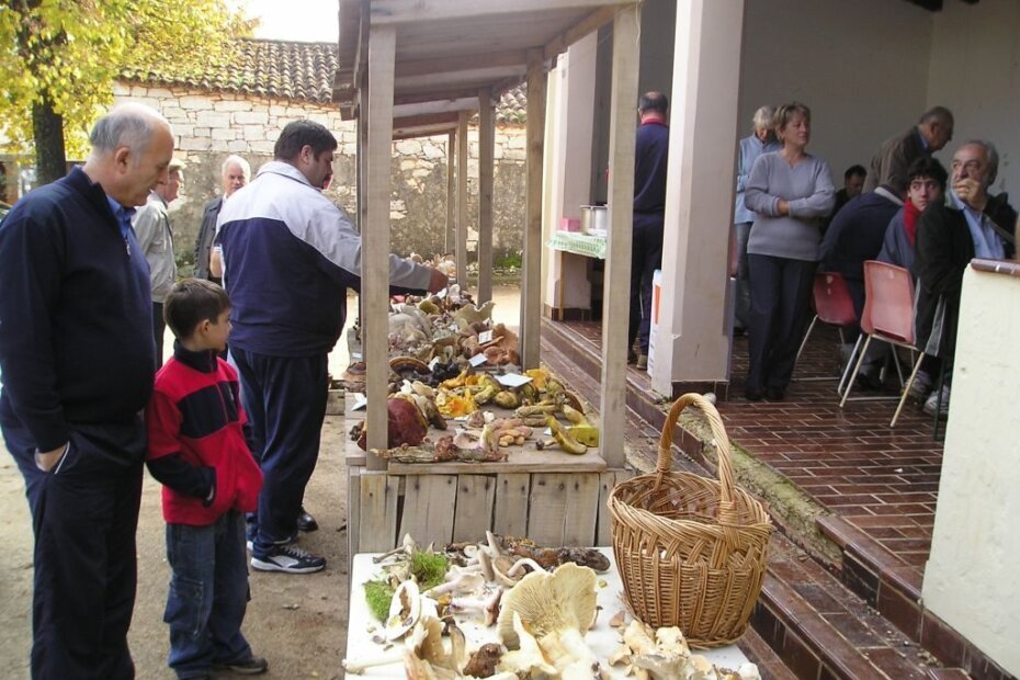 Foto: Miroslav Praskalo