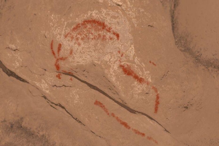 Crtež bizona (foto: Natura Histrica)