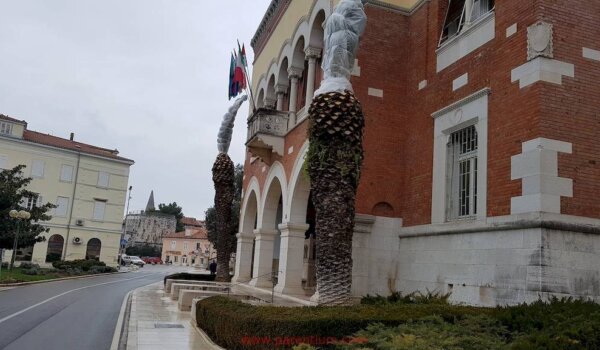 Izabrani članovi Savjeta mladih Grada Poreča