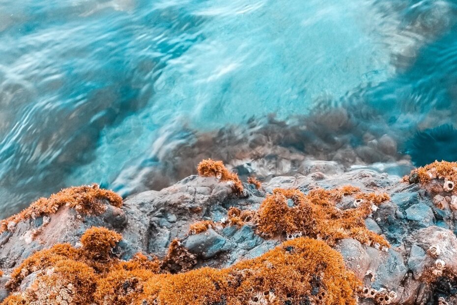 Najmlađe očekuju tematske igre, slagalice i bojanke