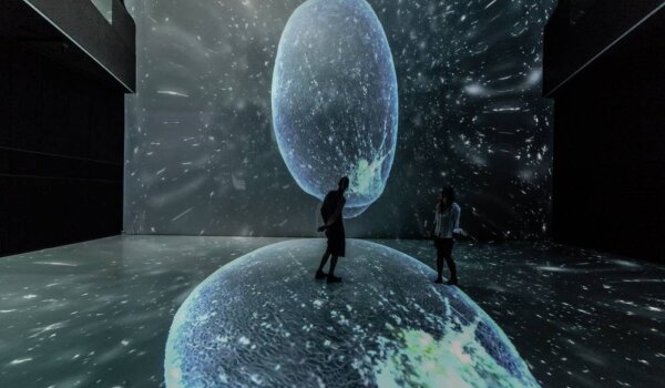 Izložba o utjecaju buke na morski svijet