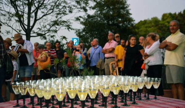 Održani Dani grožđa u Bujama