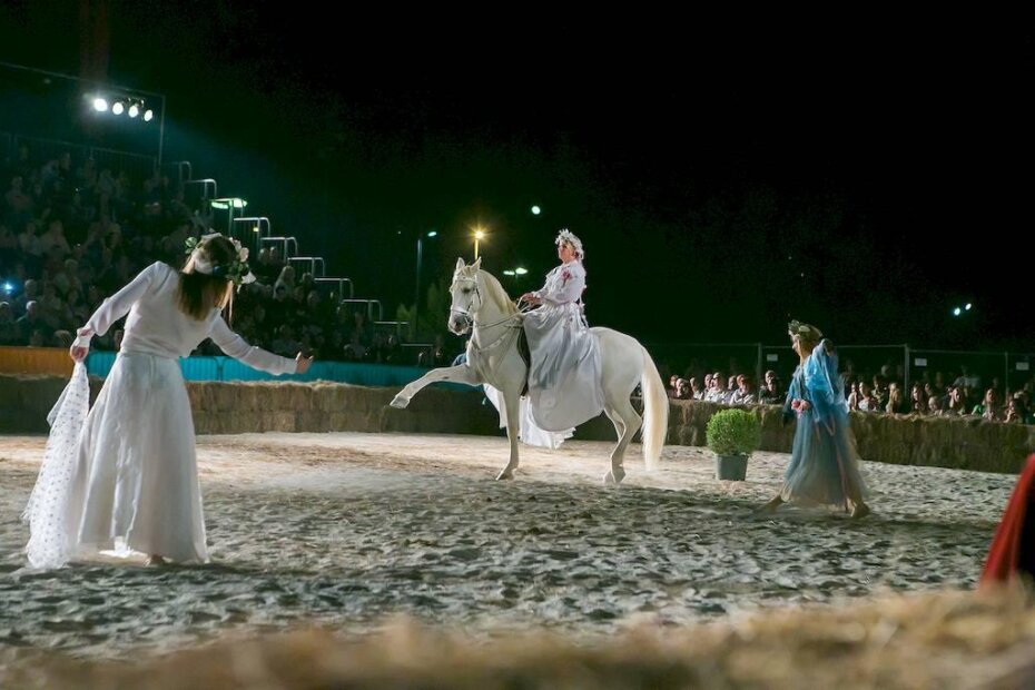 Porečki povijesni festival Giostra (arhiva/M. Paljuh)