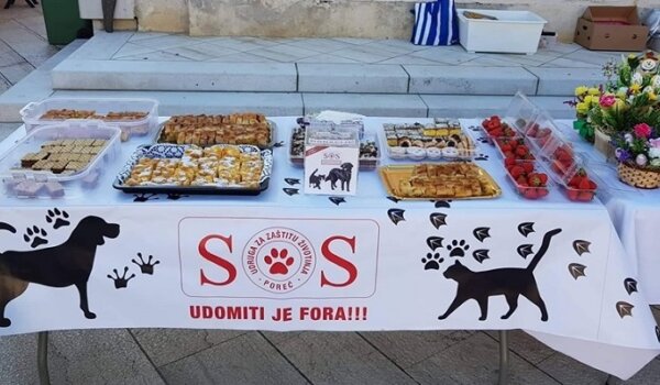 SOS Šape pozivaju na subotnje druženje na Trgu slobode