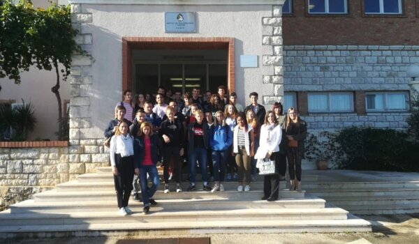 Uzgoj i prerada maslina na Institutu za poljoprivredu i turizam