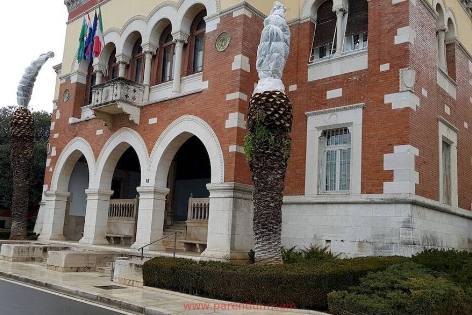 Gradska vijećnica