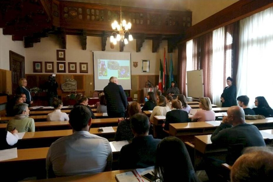 Predstavljanje projekta u gradskoj vijećnici (K. Flegar)