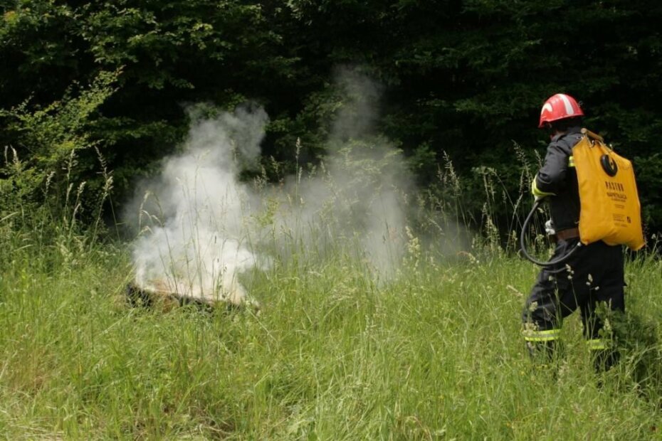 Ilustracija (PU istarska)