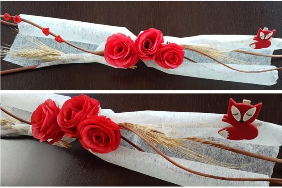 SOS Šape Poreč (Facebook)