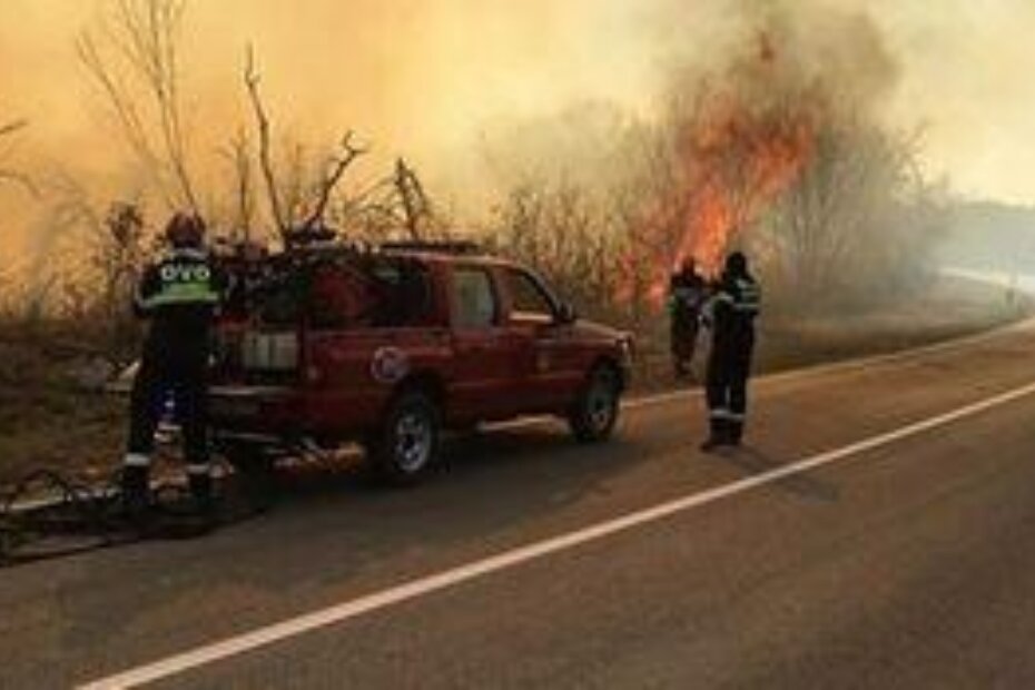 Foto: DVD Sv. Lovreč