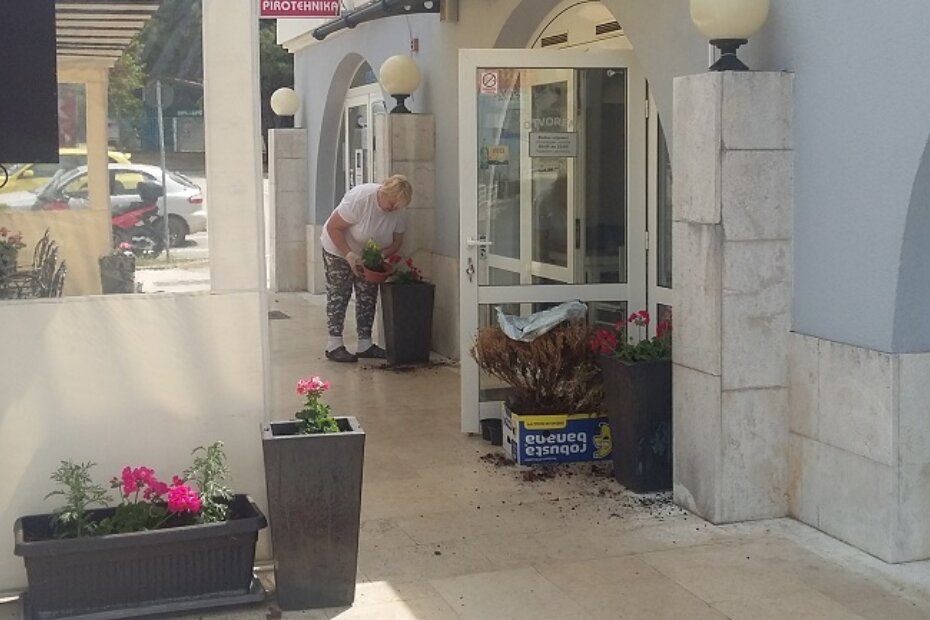 Jučerašnje pripreme za otvaranje ugostiteljske radnje: cvijeće je ukras svakoj terasi (Fotografija: Parentium)