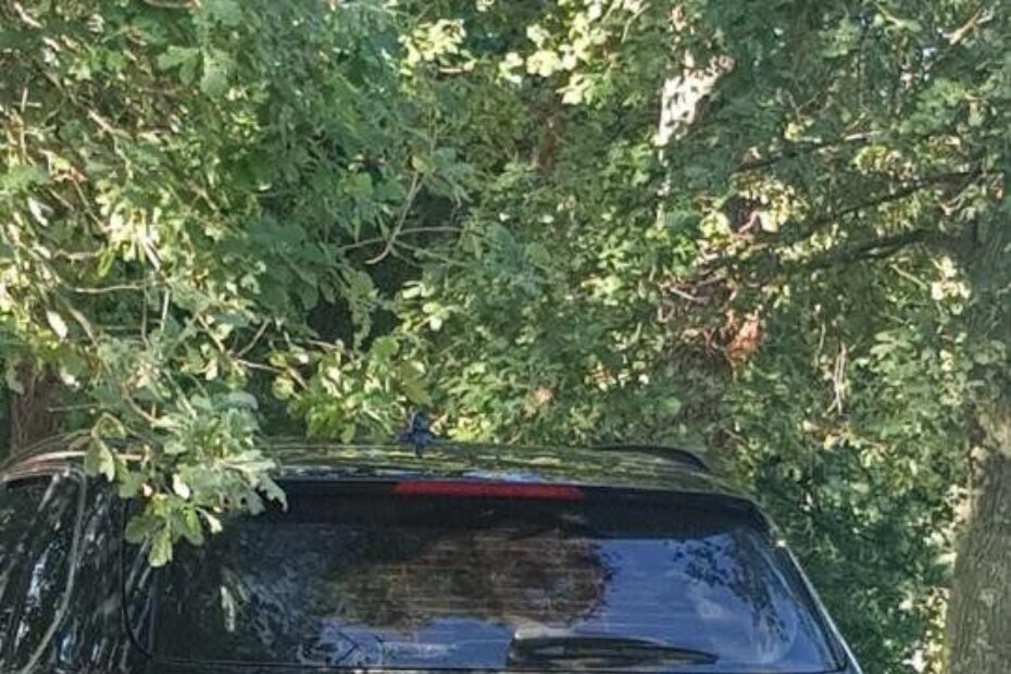 Foto snimila čitateljica