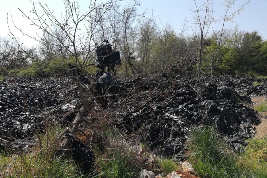 Onečišćeno područje pored Fažanske ceste.