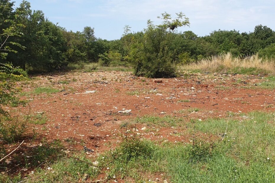 Područje nakon micanja nezakonito zbrinutog otpada.