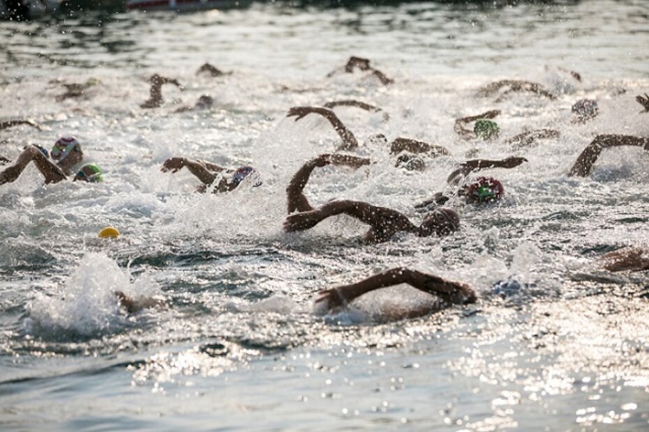 Ilustracija (arhiva Parentium)