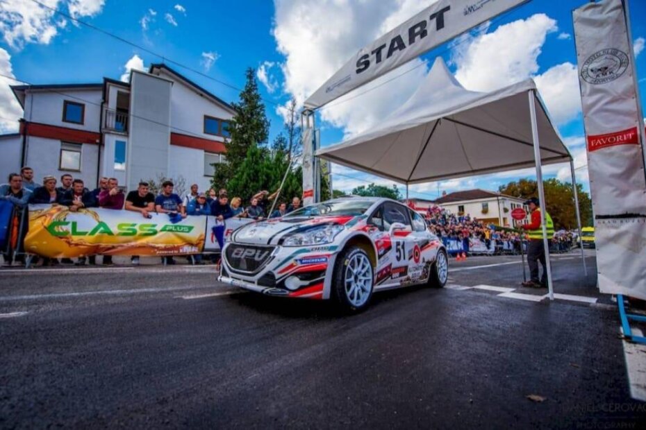 Buzetski dani (ahiva, ilustracija)