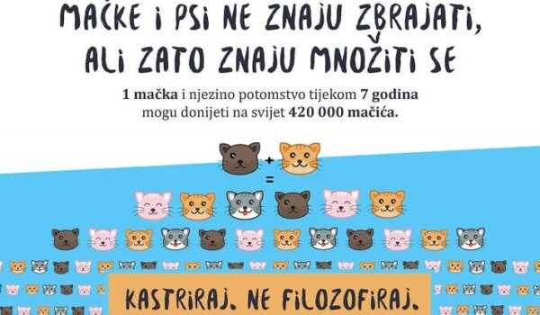 Kastriraj, ne filozofiraj!