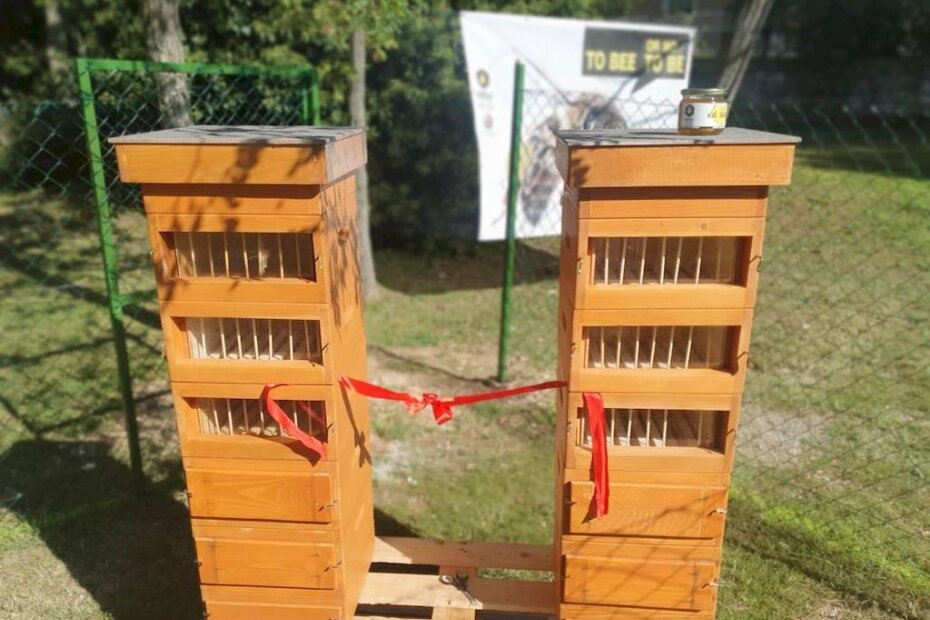 Procjenjuje se kako trećina hrane za ljude i životinje ovisi o oprašivanju koje pretežno provode pčele