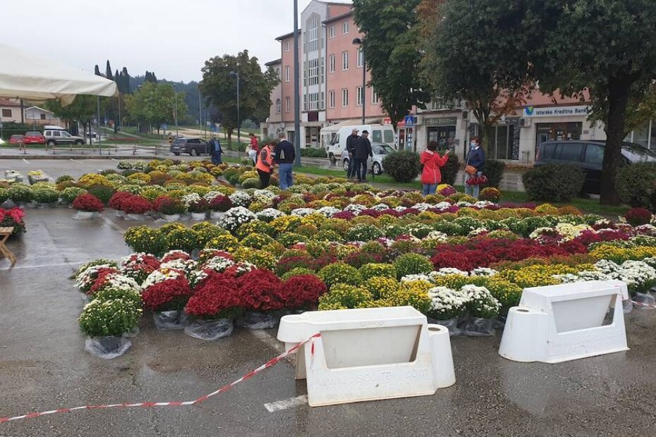 Počela prodaja aranžmana za blagdane Svih svetih i Dušni dan