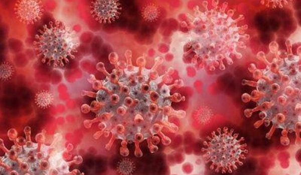 Upute HZJZ-a: Što učiniti ako ste pozitivni na koronavirus?