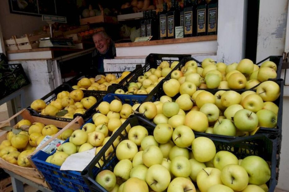 Višnja Pančelat (OPG Pančelat iz Radoši)