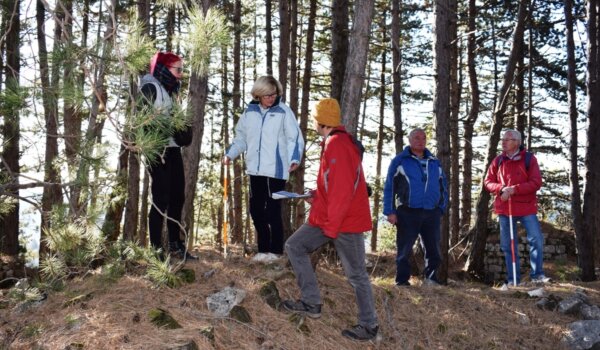 Projekt Kaštelir: Započelo istraživanje Rašporske gradine