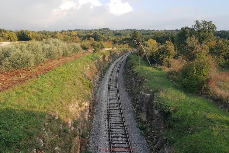 Foto: arhiva, ilustracija