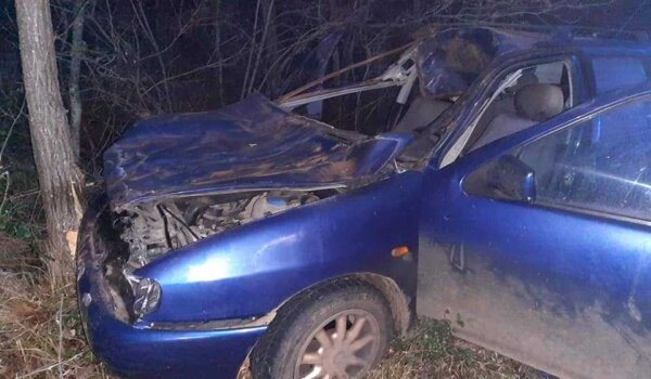 Od posljedica sudara s automobilom uginulo šest magaraca, dvije osobe ozlijeđene