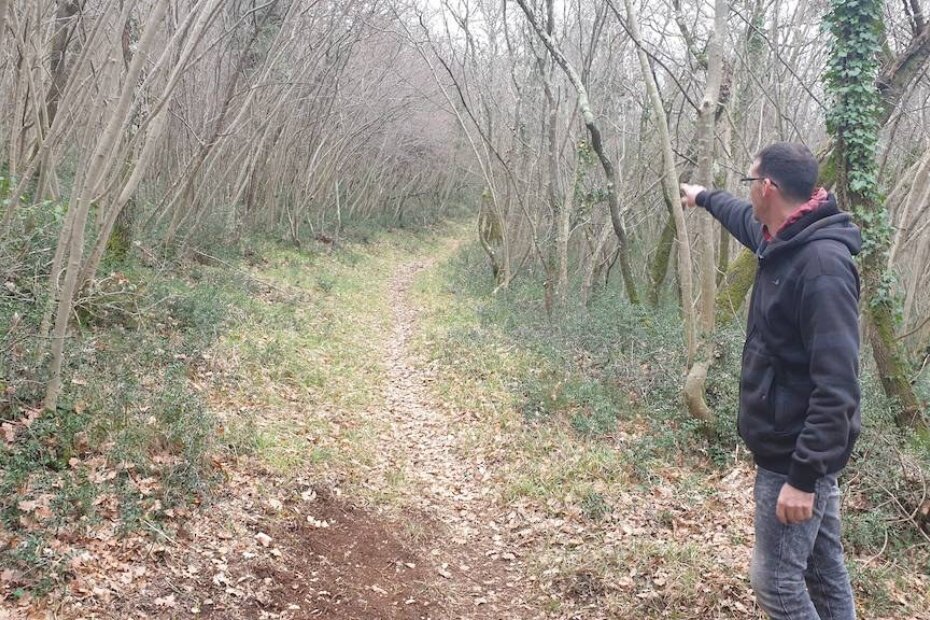 Staza je nastala oko puteva koje su utabale životinje