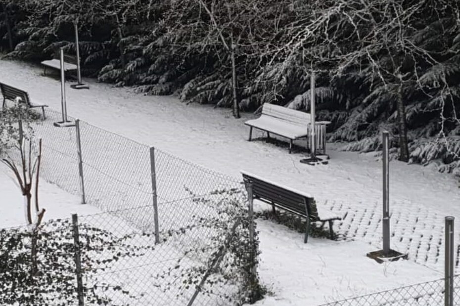Baderna  (Foto: Irena Gašparini)