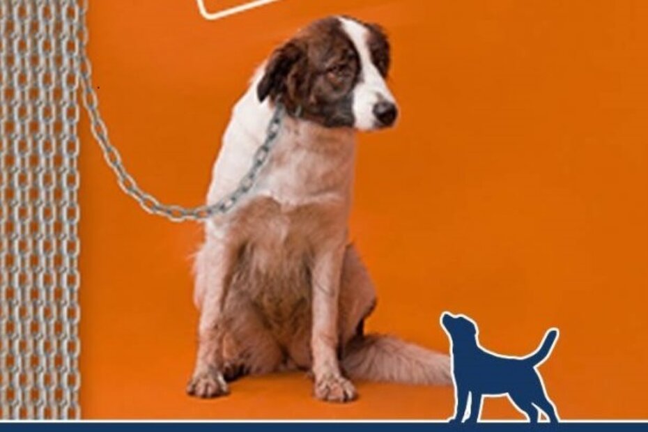 Do sada je peticiju potpisalo više od 50 000 građana