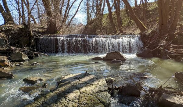 WWF Adria: Uklanjanjem starih barijera vraćamo život u naše rijeke