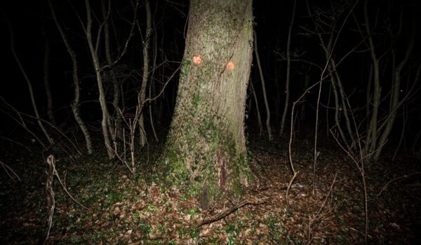U četvrtak otvorenje izložbe fotografija Dine Šertovića