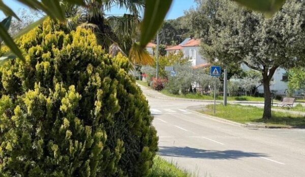 Poreč: Zaštita bilja na javnim zelenim površinama