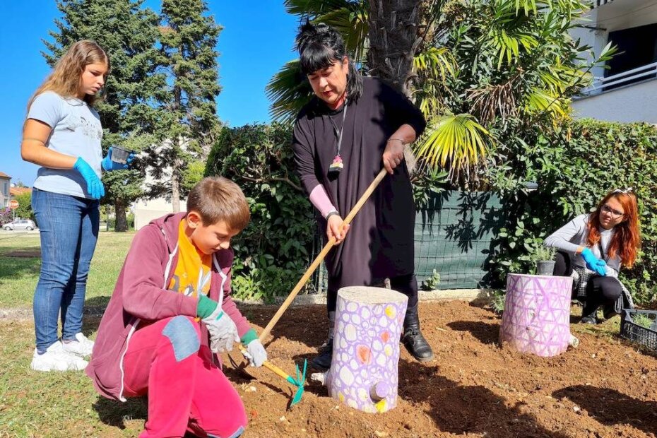 Priprema mjesta za biljčice oko ukrasnih panjeva