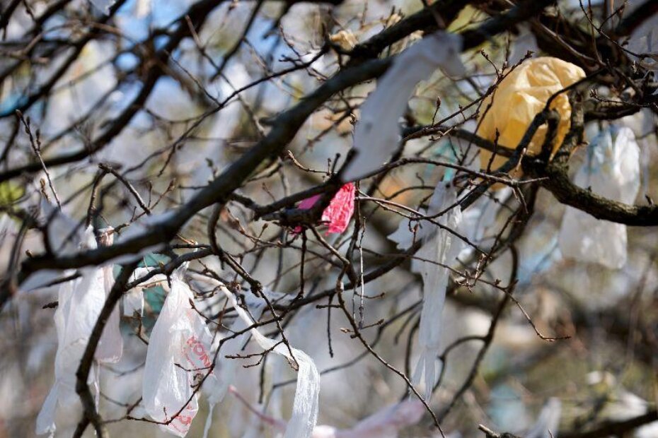 Naslovna fotografija: Igor Zirojević - iz ciklusa ZEN VRTOVI