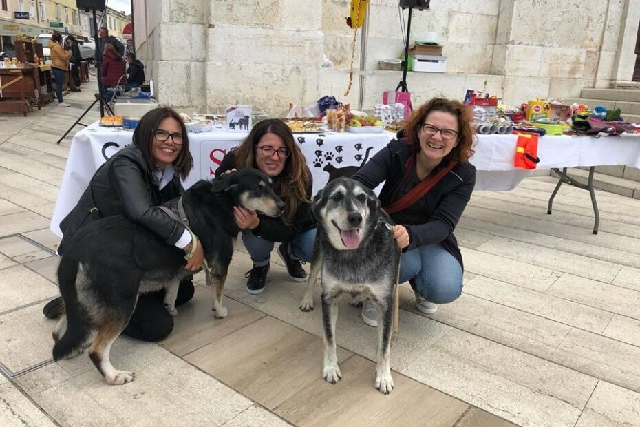 SOS Šape Poreč na Trgu slobode
