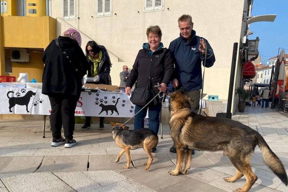 Pomogli su prijatelji, udomitelj i donatori
