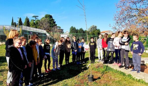 Učenici OŠ Poreč u akciji "Zasadi stablo, ne budi panj"