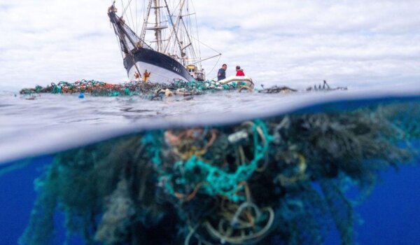 Morske životinje naselile veliki plastični otok koji pluta Pacifikom
