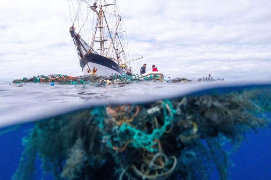 Foto: Twitter/Ocean Voyages Institute