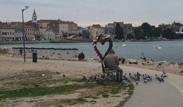 Influenca potvrđena kod divljih ptica u Istarskoj, Zagrebačkoj i Vukovarsko-srijemskoj županiji