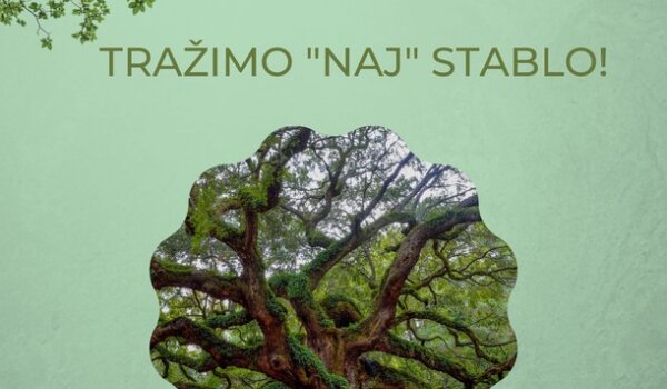 Inicijativa Instituta za poljoprivredu i turizam: Znate li za neko NAJ stablo?