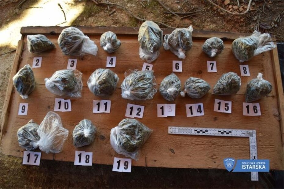 Na7pt ZS Pm droga Žminj1