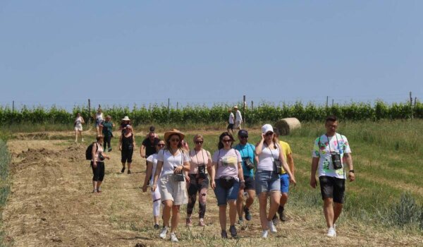 Istria Wine & Walk u Bujama: šetnja kroz vinsko srce sjeverozapadne Istre