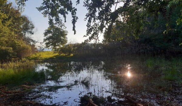 Obnova lokvi na području Poreštine