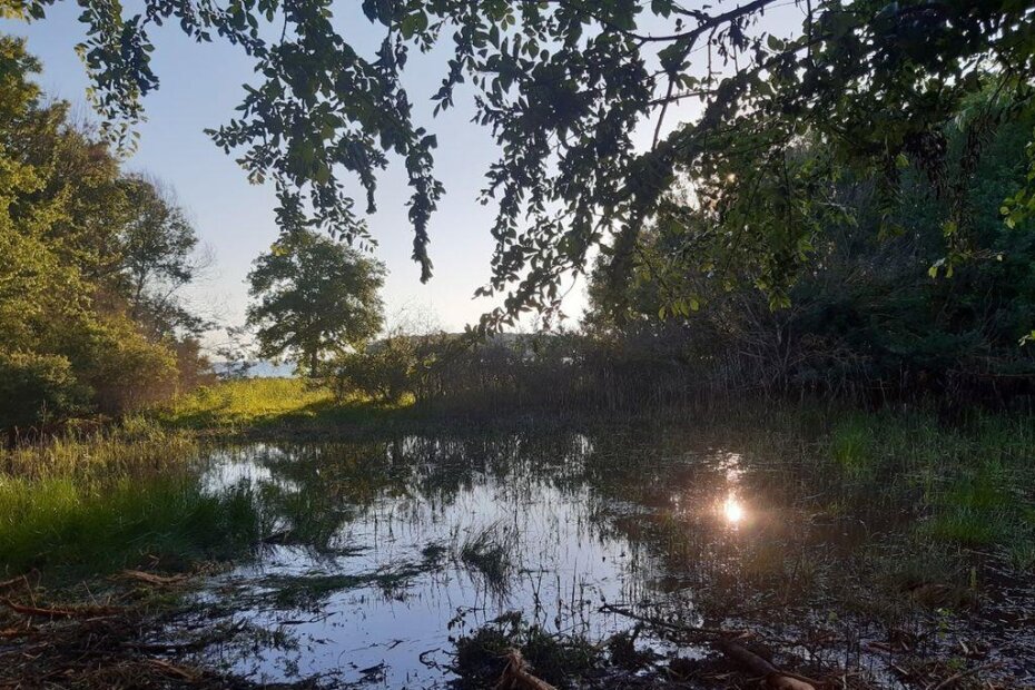 Lokva na Porto Busoli