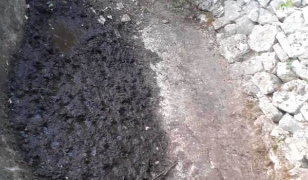 Suša ubija životinje: apel građanima da pomognu lovcima i dojave lokacije isušenih pojilišta